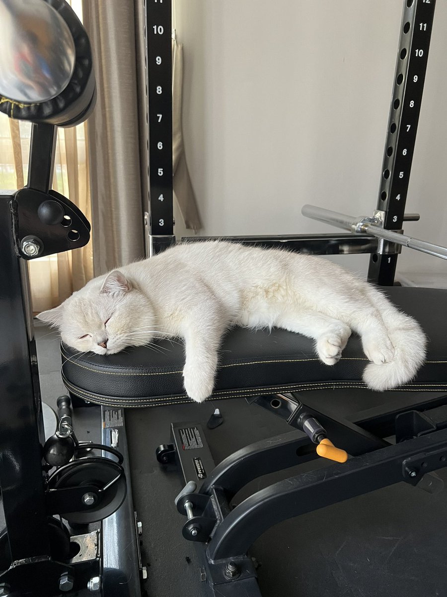 Kittigap tweet media