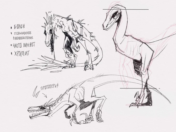 also some old raptor sketches that haven't been posted here 