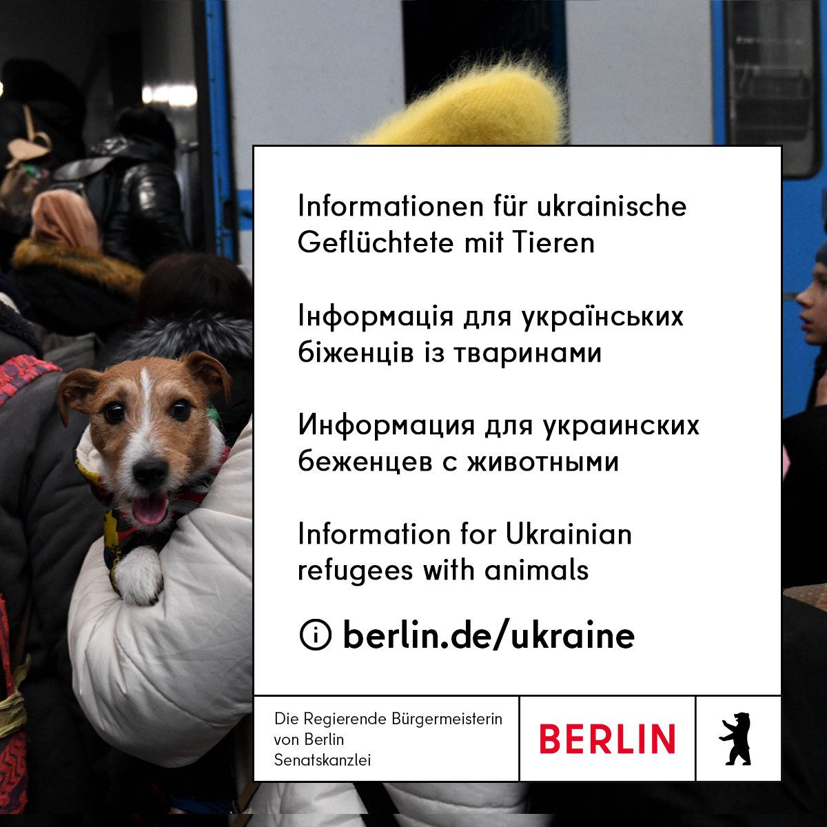 Informationen für ukrainische Geflüchtete mit Tieren

Інформація для українських біженців із тваринами

Информация для украинских беженцев с животными

Information for Ukrainian refugees with animals

berlin.de/ukraine