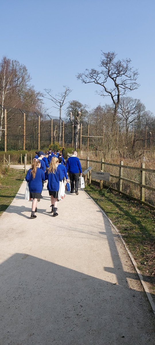 SMAAAyear5's tweet photo. Lots of fun at the safari park today 🐅🐗 @SMAAASchool https://t.co/EFLsTYPZ64
