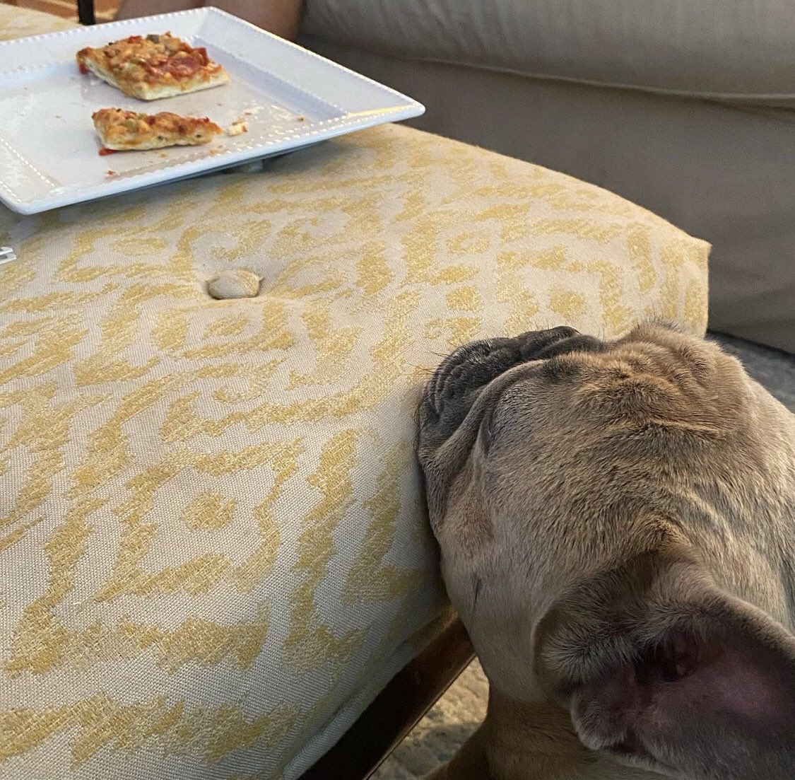 Hungrige Audey 😃😃😃