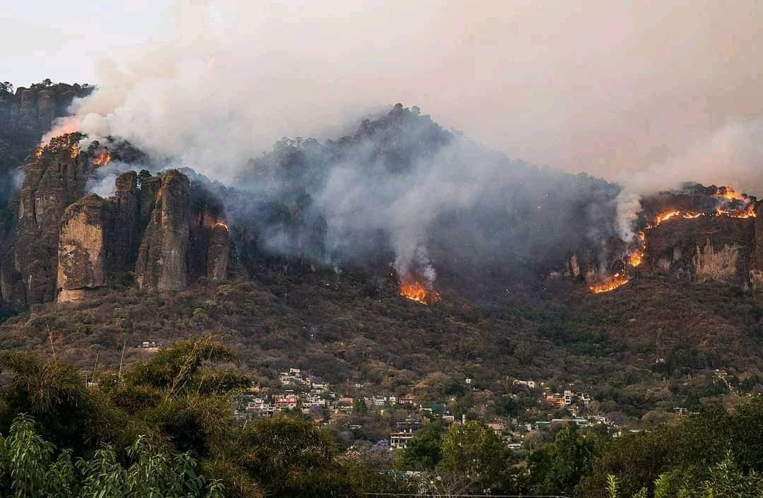 dany_leites's tweet photo. Se quema #tepoztlan. Se necesita #ayuda. #sedena #GuardiaNacional #mexico https://t.co/7MDjrg740k