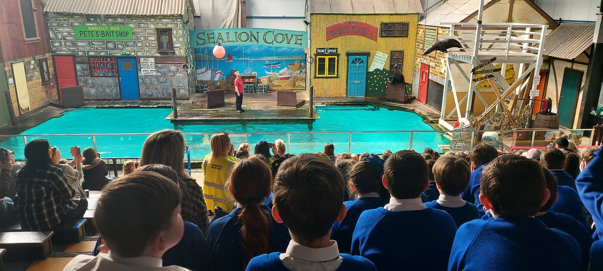 SMAAAyear5's tweet photo. We loved the sealion show 🌊 @SMAAASchool https://t.co/XMyr4qVOOg