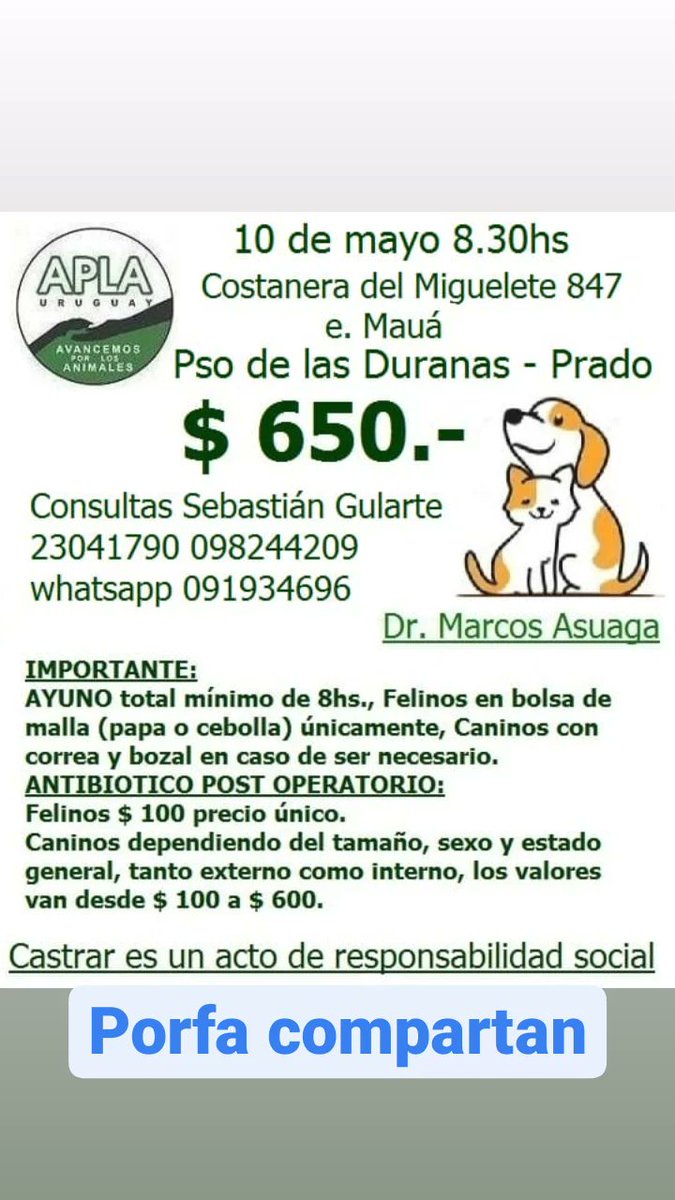 Sebastian Gularte (@sebastiangular4) on Twitter photo 