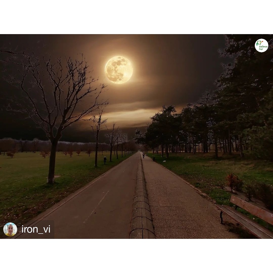 #SalimosHoy
Fotografía original de <a href="/iron_vi/">Iron Man</a>
• • • • 
Luna llena en el paseo hacia la Dehesa de Olarizu.
A las 11 de la mañana.
Alguien más lo ha visto? O estas cosas solo me pasan a mi?😂

#alava #araba #gasteiz #paisvasco #turismo #vitoria #vitoriagasteiz #olarizu #lunallena