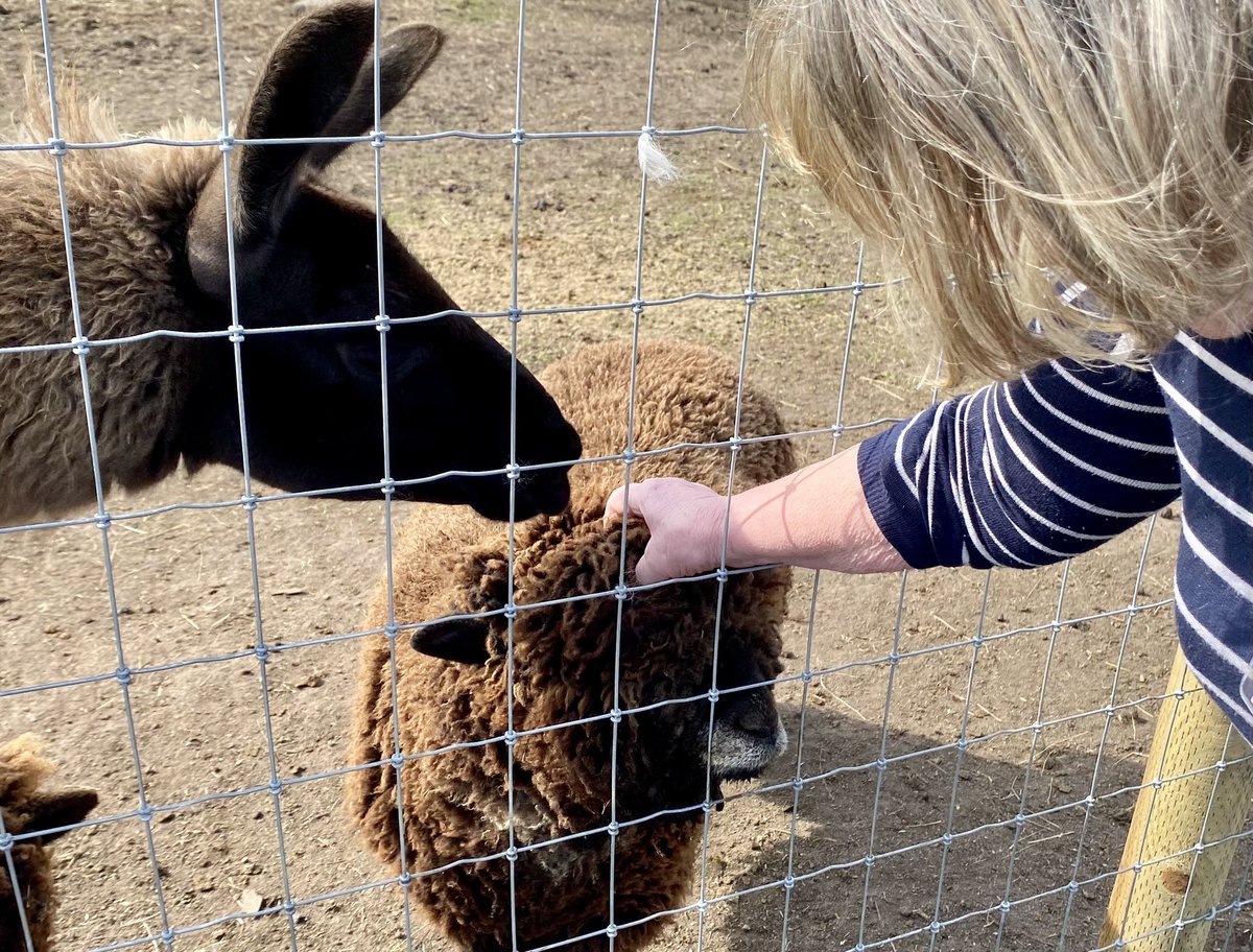 TConnectionSp's tweet image. At Mondays Nature Based #Volunteering session at @MatlockFarmPark, we also invited @derbyshirecarer to connect with our carers living with memory loss and #dementia @OTherapistMH @DDCVS