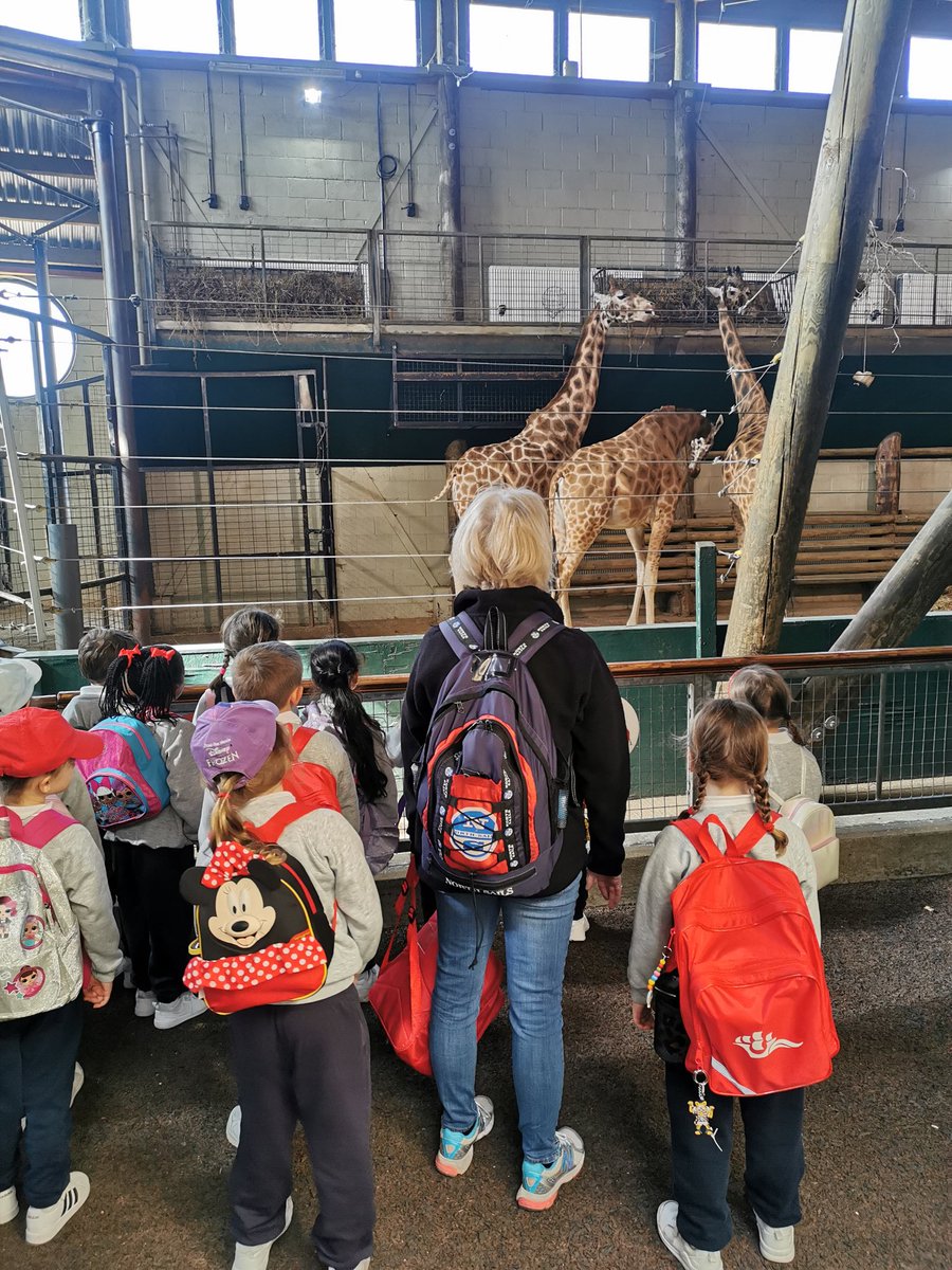 YateleyManorSch's tweet photo. Year 1 had a wonderful day in the sunshine exploring @Marwellwildlife. All of the animals came out to see us and we discovered many interesting facts about them all #lovelearning #animalexplorers https://t.co/1VRvv5goAe