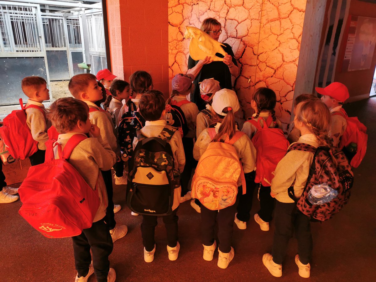 YateleyManorSch's tweet photo. Year 1 had a wonderful day in the sunshine exploring @Marwellwildlife. All of the animals came out to see us and we discovered many interesting facts about them all #lovelearning #animalexplorers https://t.co/1VRvv5goAe