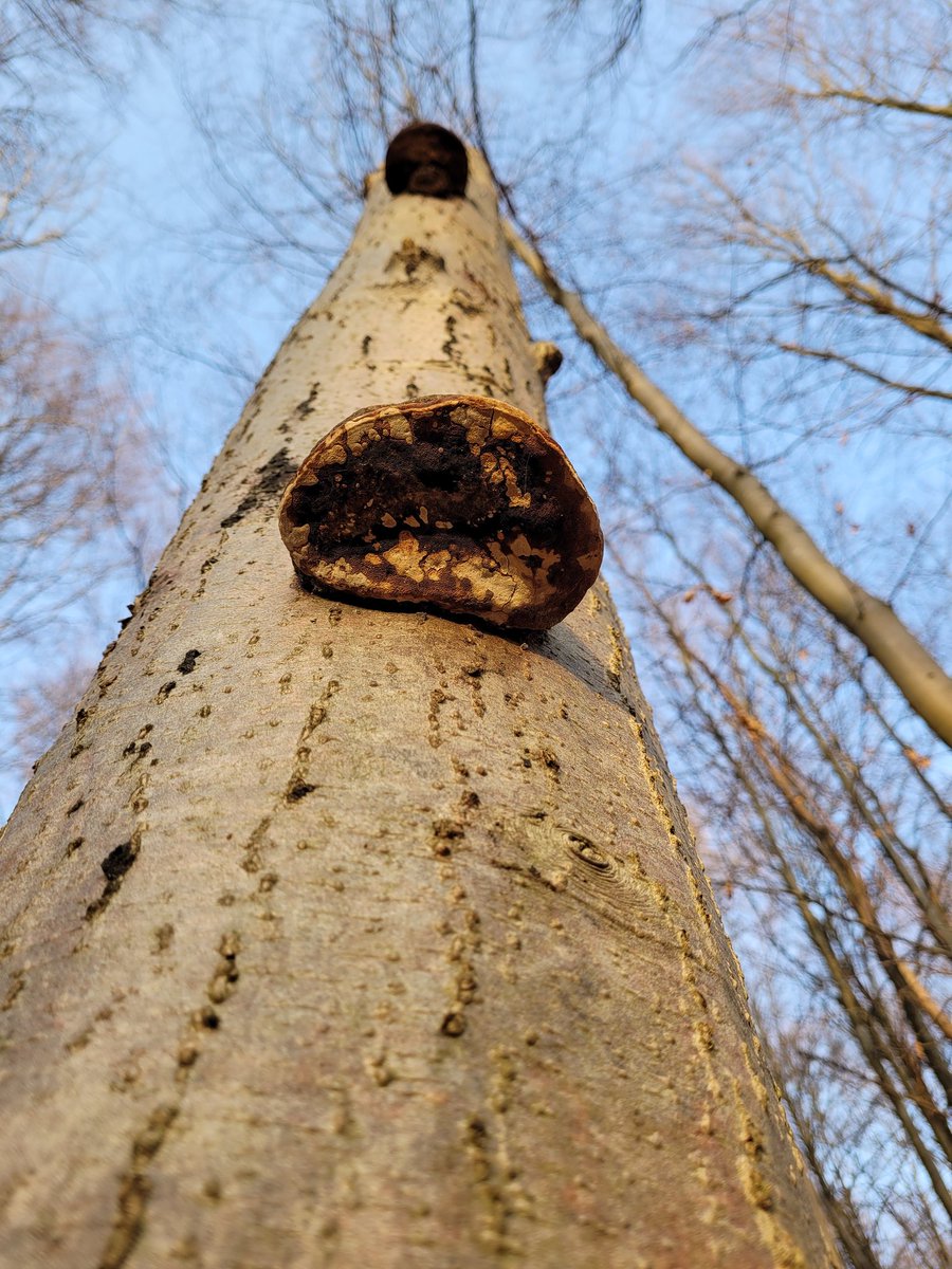 DPeter3363's tweet image. Blickwinkel