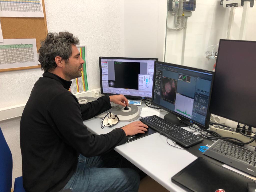 Universidad de Cádiz tweet media