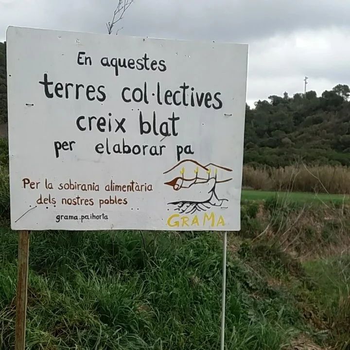 AteneuVilamajor's tweet photo. Coses boniques que passen als peus del Montseny...
👇 
https://t.co/SA7NbxyJ27 https://t.co/NuF9jNgKmt