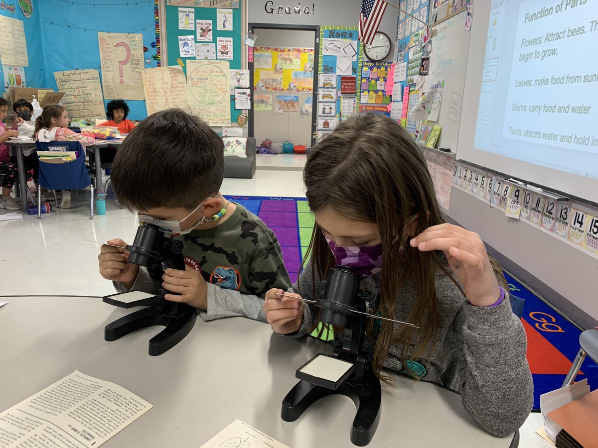 Nancy Boldt tweet media