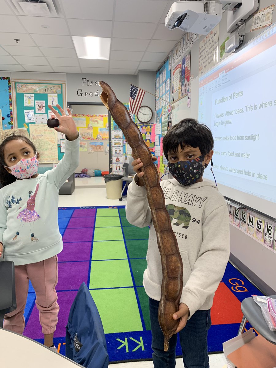 Nancy Boldt tweet media