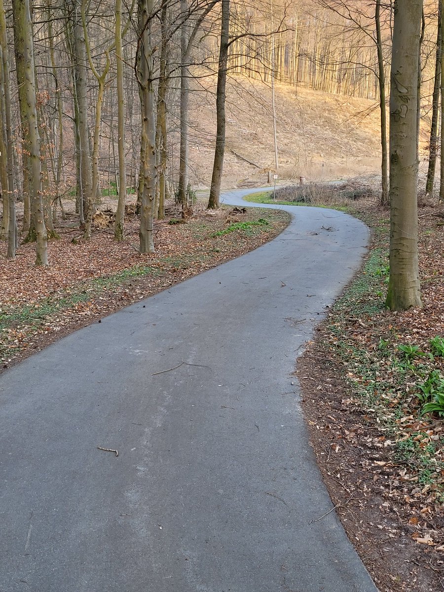 DPeter3363's tweet image. Der Weg ist das Ziel....