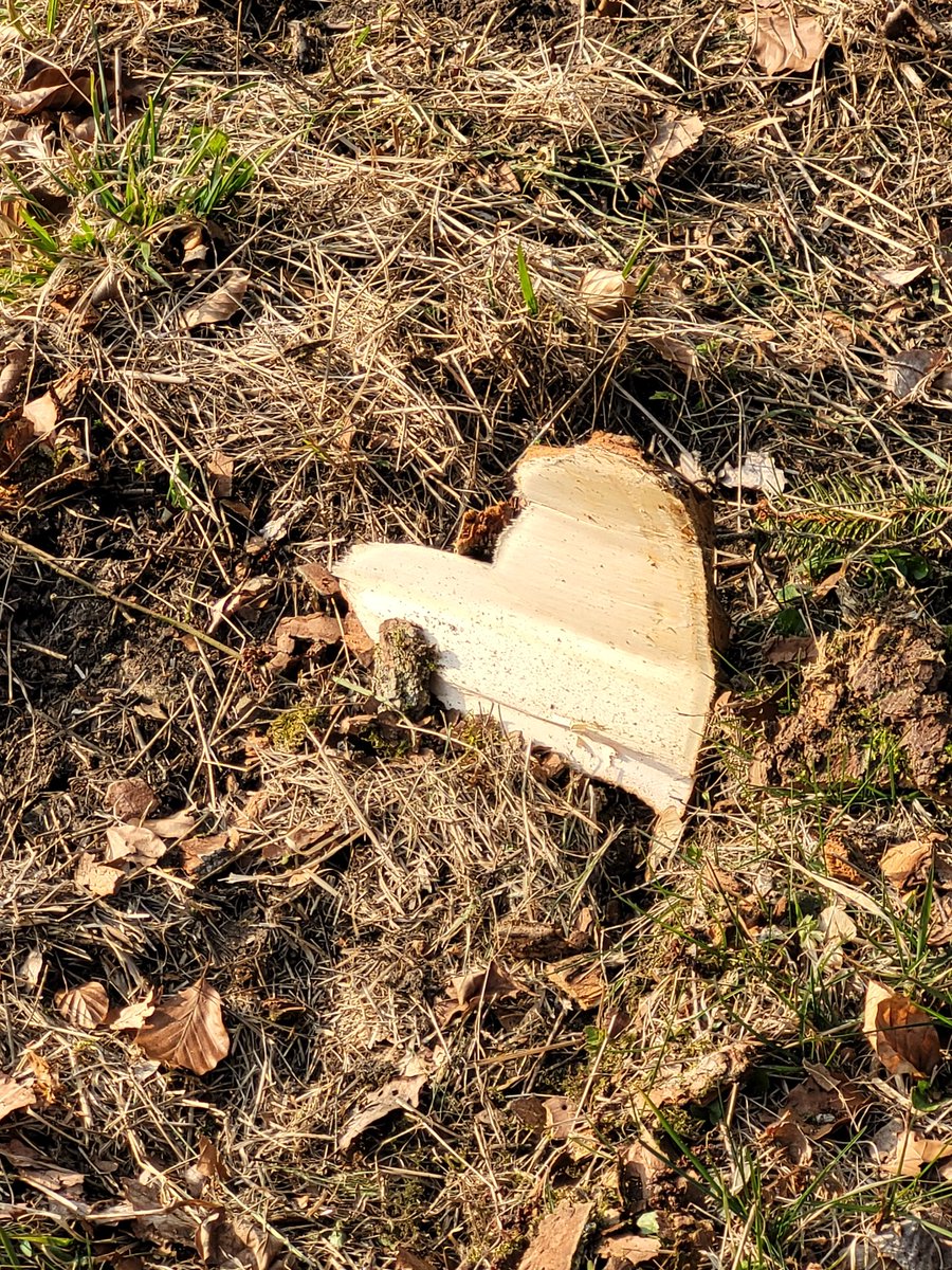 DPeter3363's tweet image. Herzlich