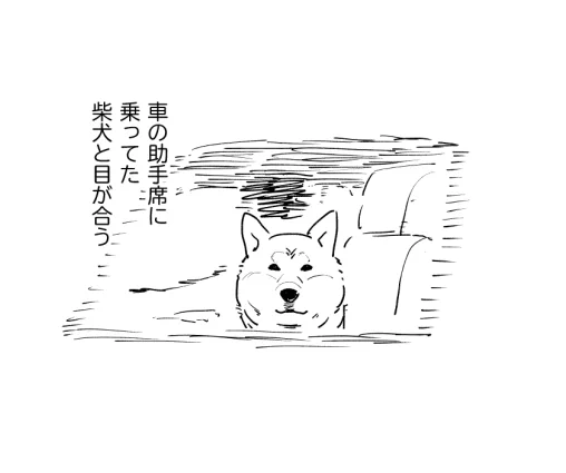 今日の日記です 
