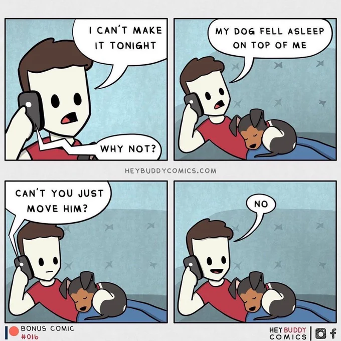 all dogs are puppies 