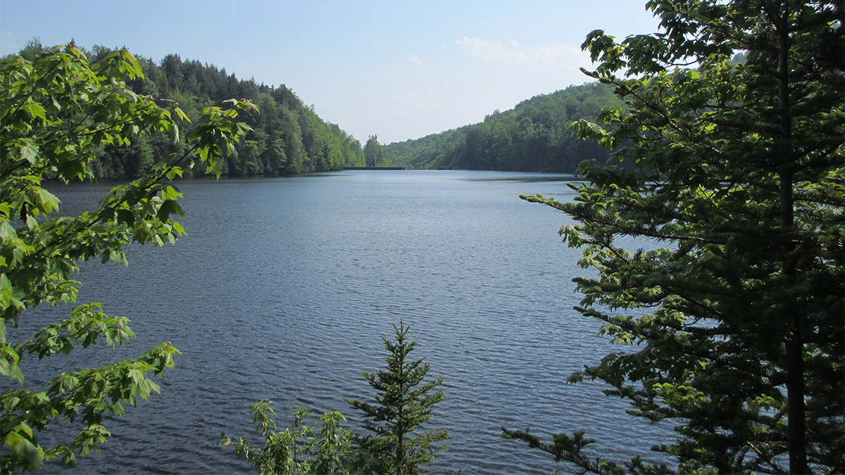 The Vermont Water Resources &amp; Lake Studies Center announces 2 National Competitive Grants (104g &amp; PFAS Substances). Proposals due 4/26/22 to VT Water Center.
uvm.edu/rsenr/vtwaterc… <a href="/LakeChamplainSG/">Lake Champlain Sea Grant</a> <a href="/uvmcems/">UVM CEMS</a> <a href="/UVM_RSENR/">Rubenstein School</a> <a href="/Middlebury/">Middlebury College</a> @UVMCALS <a href="/saintmichaels/">Michael</a> <a href="/SUNYPlattsburgh/">SUNY Plattsburgh</a>