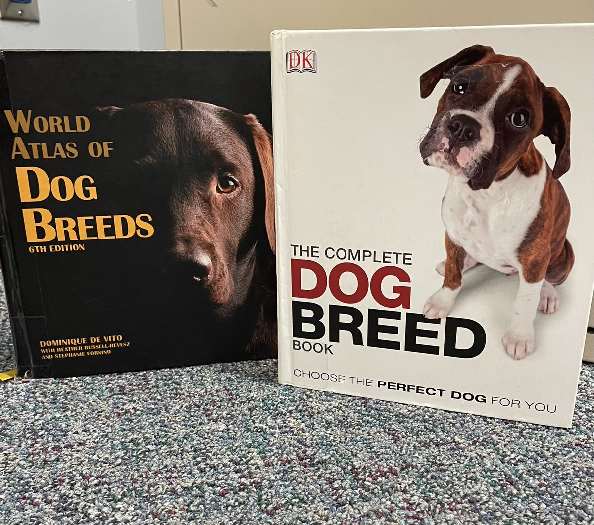 StClairLibrary's tweet image. What kind of dog is that? Celebrating #nationalpuppyday with a look at our collection of dog breed books. 

Our Windsor library offers professional magazines for the  #vettechstudent, and a collection of care and behaviour resources for the newest puppy owner 🐶 #learnaboutdogs