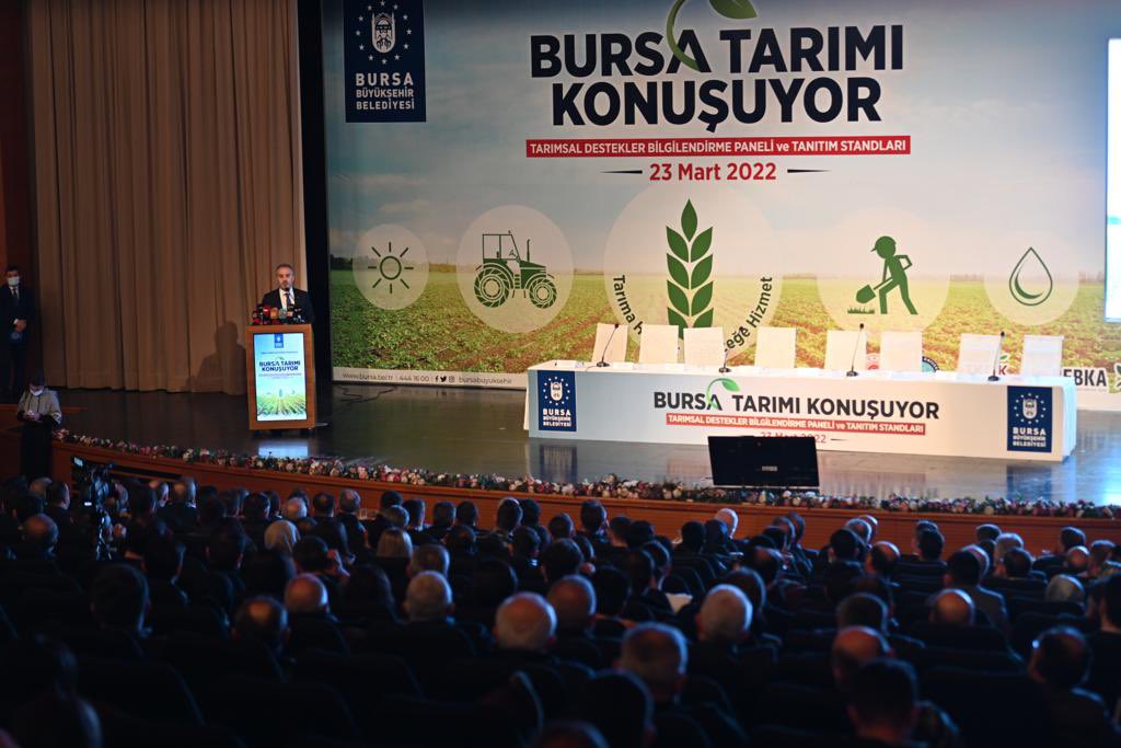 Alinur Aktaş