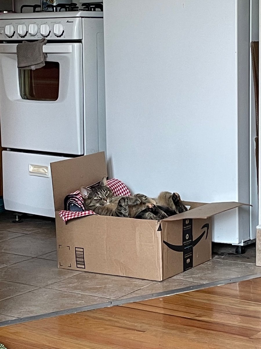 Spacemancai's tweet image. kills me every time