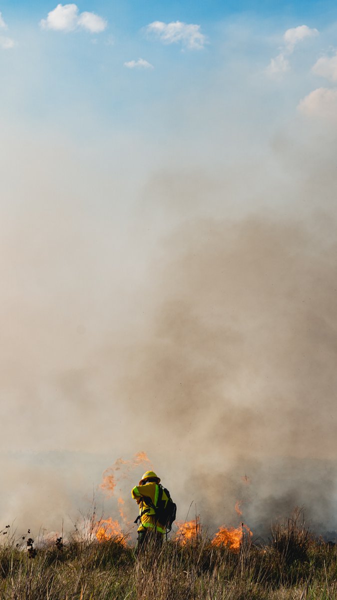 NesPK220 tweet media