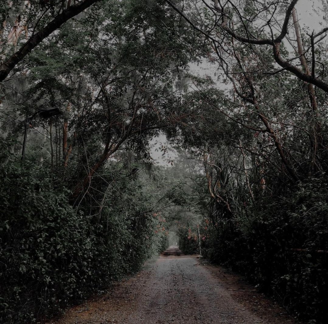 Pandabear081's tweet photo. Walking...choose your path wisely.

#ionswalk 
#IonsSupportIons 
#ionsfllowions https://t.co/mzE6QbU68S
