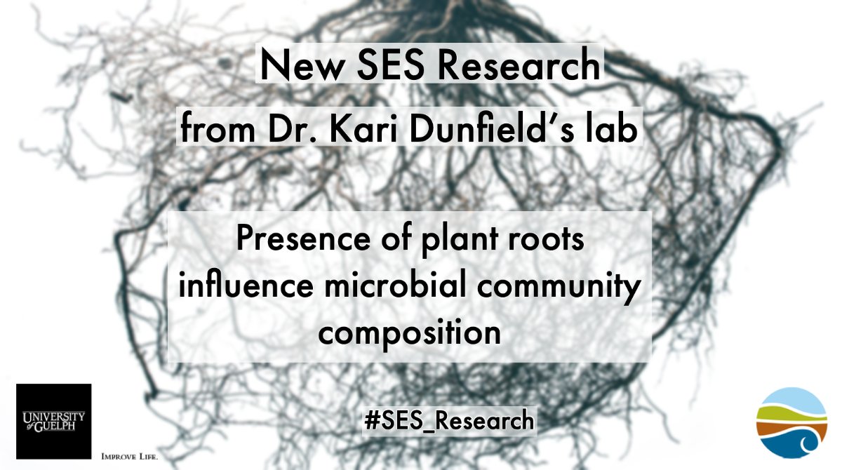 School of Environmental Sciences (@uofg_ses) on Twitter photo New #SESResearch published in <a href="/Oikos_Journal/">Oikos</a> with lead author <a href="/ToluMafa/">Tolu Grace</a>, postdoc with Dr. <a href="/karidunfield/">kari dunfield</a> and other #SES collaborators.
The study looked at #microbial diversity and community composition in various #agricultural landscapes.
➡️ fal.cn/3nbaT New #SESResearch published in <a href="/Oikos_Journal/">Oikos</a> with lead author <a href="/ToluMafa/">Tolu Grace</a>, postdoc with Dr. <a href="/karidunfield/">kari dunfield</a> and other #SES collaborators.
The study looked at #microbial diversity and community composition in various #agricultural landscapes.
➡️ fal.cn/3nbaT