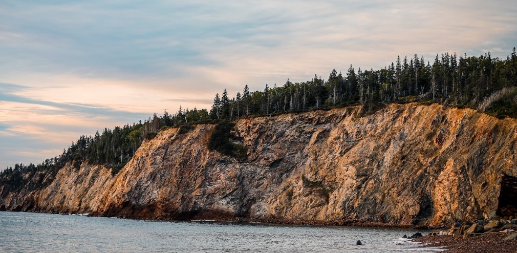 With the support of <a href="/PurParket/">PurParket Inc.</a>, 2,500 trees will be planted as part of our #NationalGreeningProgram in the Atlantic region!
➡️ ow.ly/i6nc50Ipptf