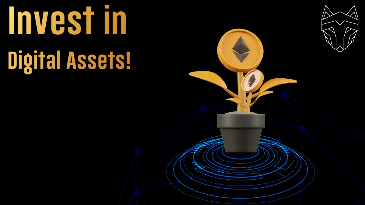 _WolfDI's tweet photo. Imagine buying an 0.1 ETH NFT now and gain thousands of dollars every year without you doing anything! That’s the case when you purchase our NFT.💥Invest now through https://t.co/g6EaWpakVu!
#NFT #NFTs #nftcommunity #NFTproject #blockchain #nftcollection #nftcollectors https://t.co/2Ip5AlRLO5