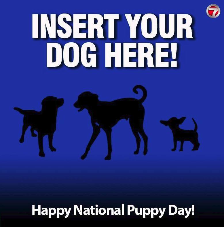 7News Boston WHDH tweet media