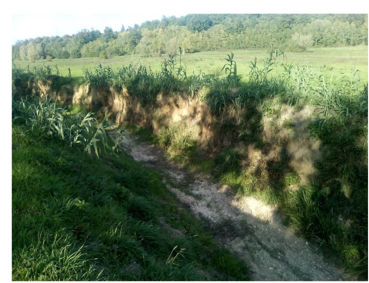 Rio Vaiano tra Bientina e Santa Maria a Monte, intervento del Consorzio per ripristinare il corretto deflusso delle acque
cbtoscananord.it/archives/33859