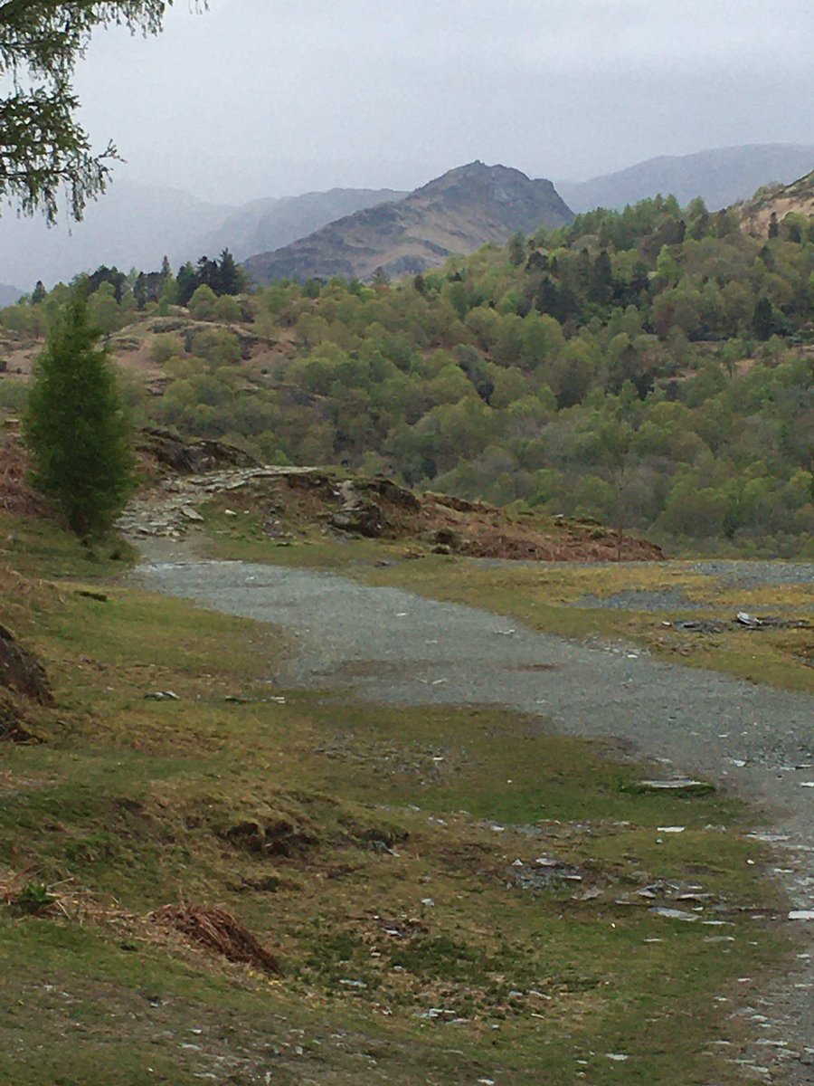 Karen Donaldson tweet media