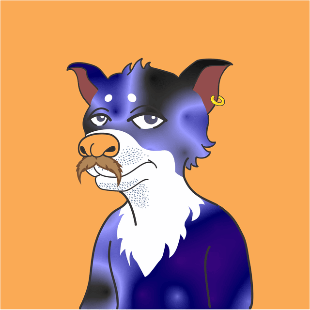 NFT Finance tweet media