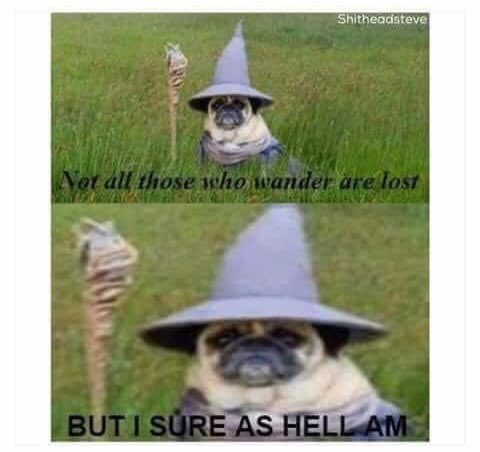 Dr_Meming's tweet photo. Me trying to navigate through papers for a lit review 

@OpenAcademics @AcademicChatter #academictwitter https://t.co/ZhXtIPme8Z