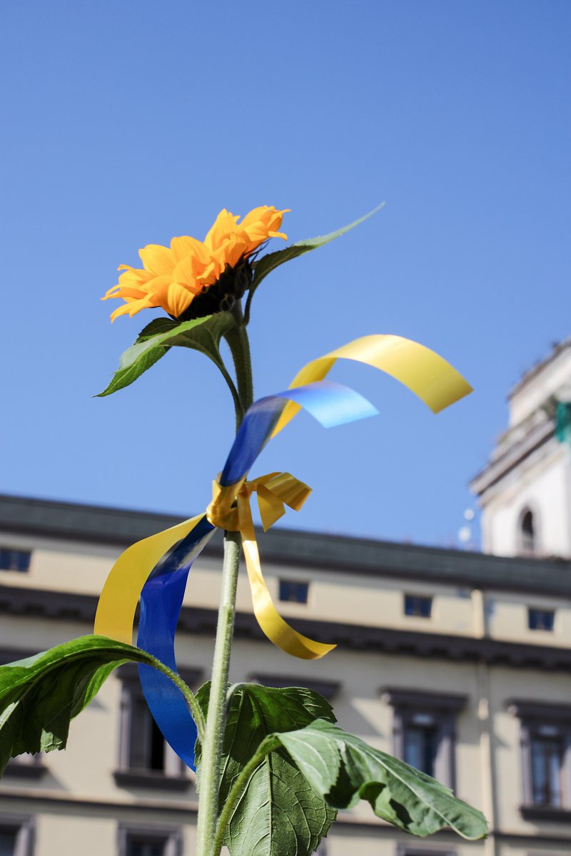 ParitaetBerlin's tweet photo. Berliner #Freiwilligenagenturen bringen Engagierte und Hilfsorganisationen schnell zusammen!
Wer jetzt den Geflüchteten aus der Ukraine #ehrenamtlich helfen will, kann sich direkt an die Freiwilligenagenturen wenden: https://t.co/Blz2d3ixnP
#Ukrainehilfe #ligaberlin #bagfa https://t.co/LmKErB1OZq