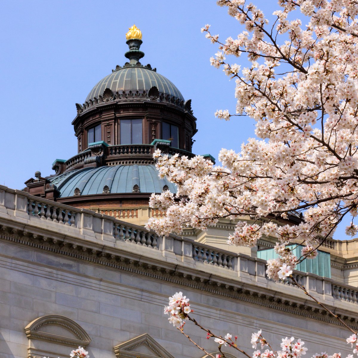 librarycongress's tweet photo. The #NotAnOstrich exhibit opens today and the Library’s hours are expanding in April.
Plan your visit: https://t.co/DSBk2v2nBG https://t.co/ee3uFhAg5W