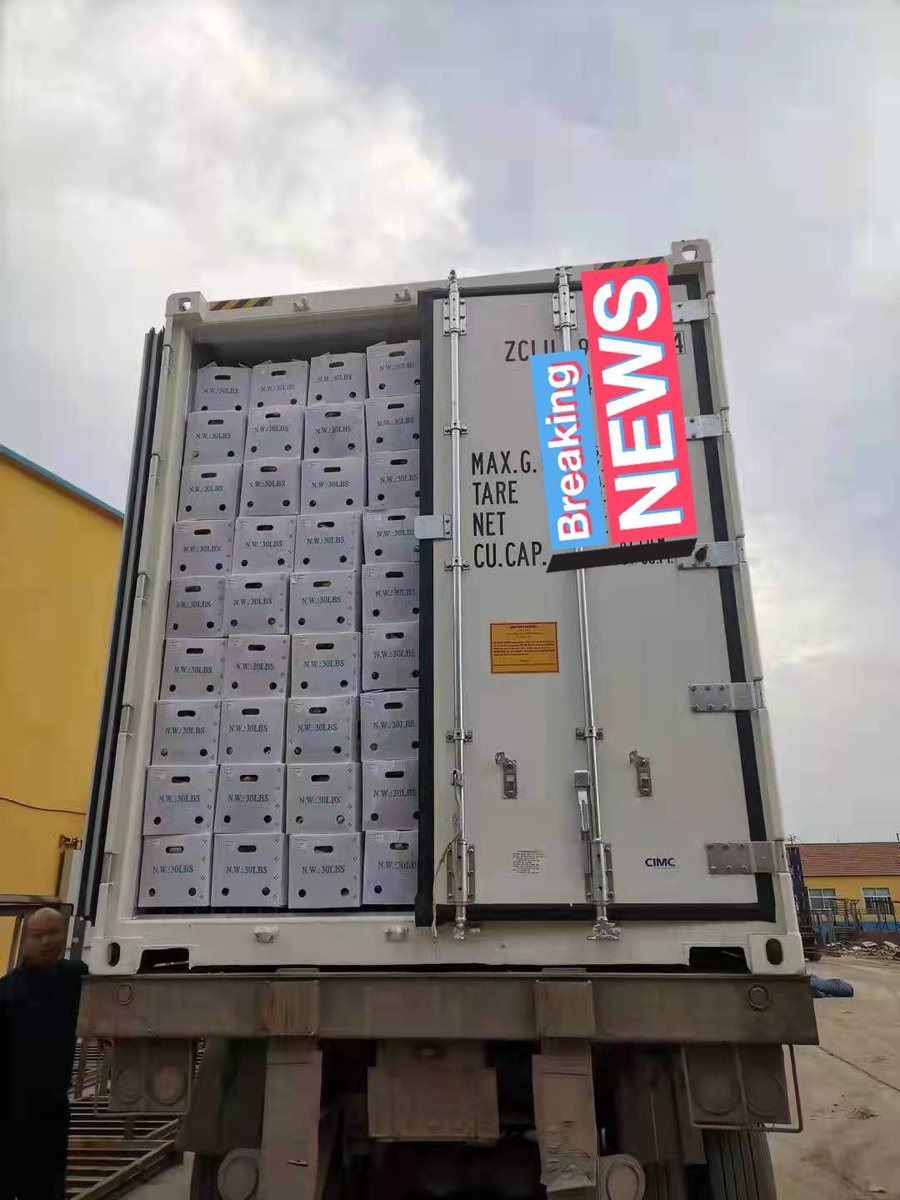 __Ohlu's tweet photo. High Quality Air Dried Ginger , PVC Box Storage Temperature: 13℃ Current location: Turkey Quantity: 50tons
(This was to be delivered to Ukraine but because of the war going on, I need a another buyer) #ginger #fresh #ChineseGinger #Ginger #Wholesale #AirDriedGinger #Ukraine https://t.co/rcQABXhl0t