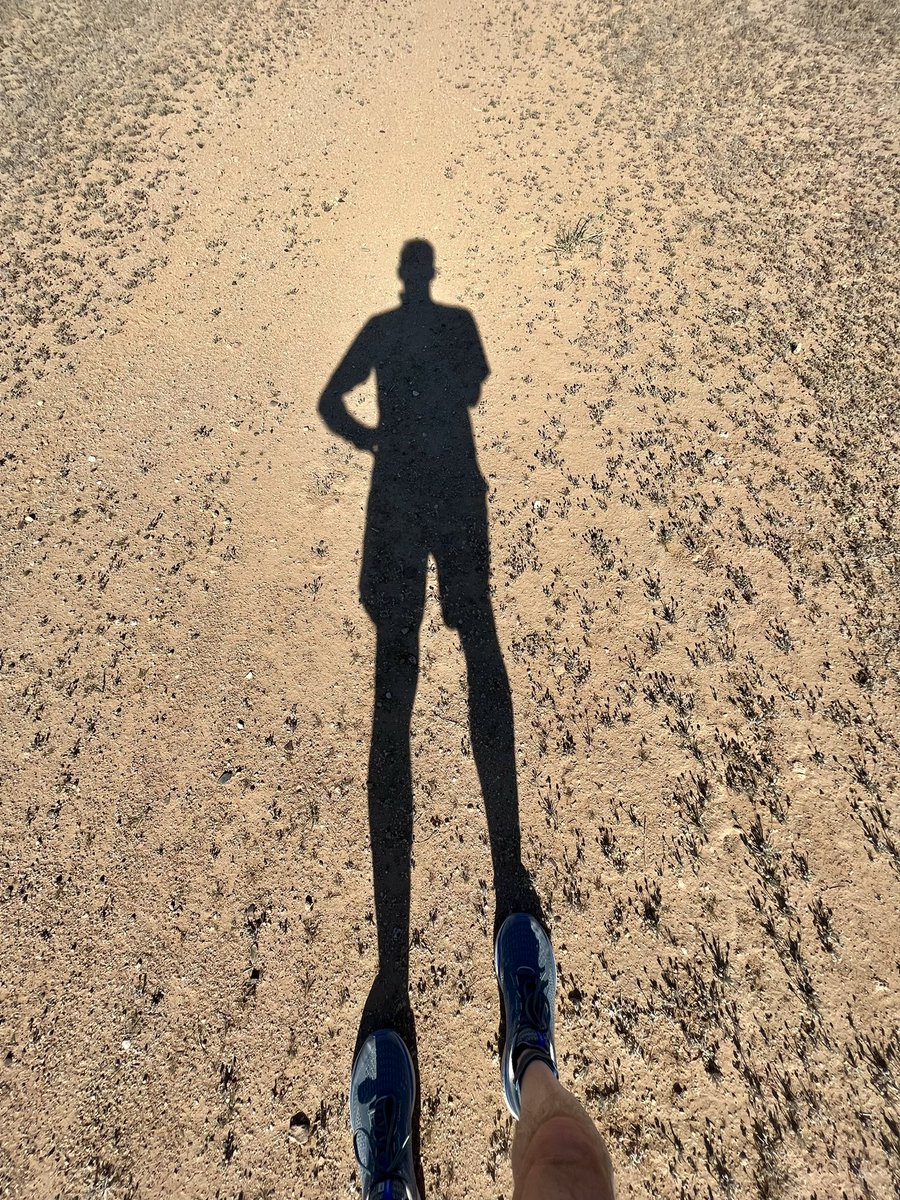 Terry Goeman tweet media