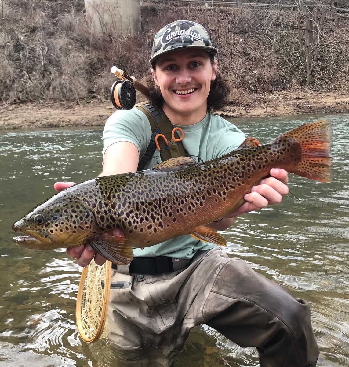 paboyzoutdoors1's tweet image. With trout season right around the corner, what better way to start getting hyped than share some of @gulashgulvas catches from the spring so far! This guy is one of the most well rounded sportsman we know! 

#pafish #patrout #trout #troutseason #troutfishing #flyfishing