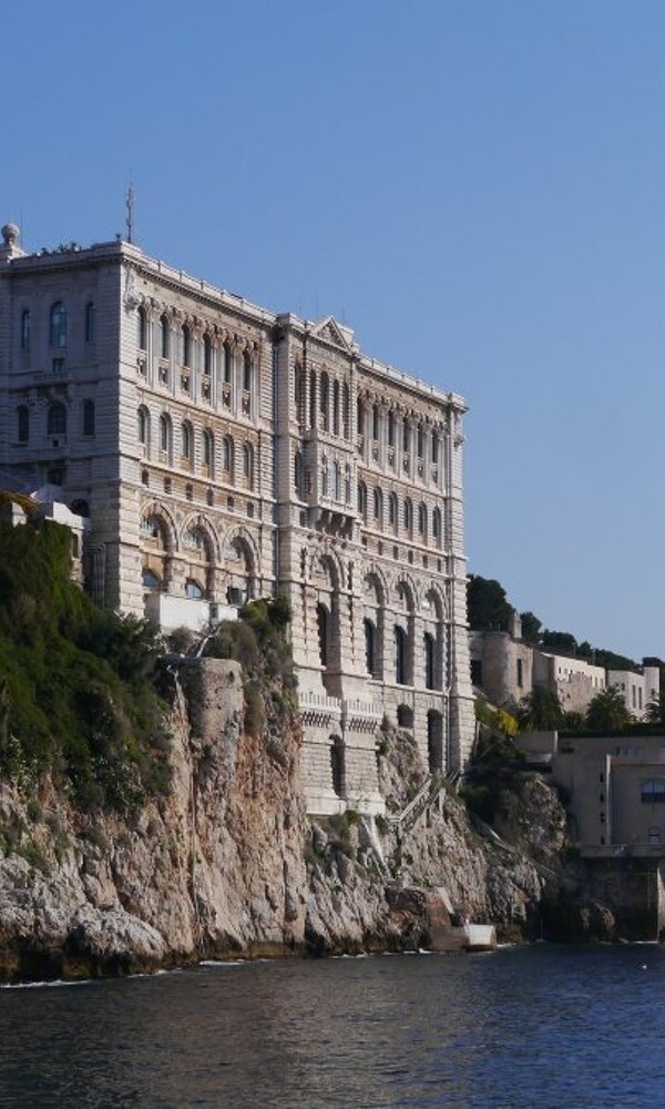 Still time to get one of the last in-person tickets for #Seaweed Day at #MonacoOceanWeek, tomorrow from 14:00 CET. Register free at bit.ly/Monaco2022 or follow online with our hosts <a href="/OceanoMonaco/">MuséeOcéanographique</a> oceano.org/live-seaweed-d…