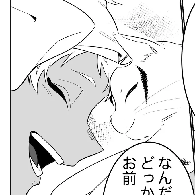 新刊は猫になった🐬が2年生を振り回しながら☀️と1日過ごす本です

今から頑張って描きます、、ジェカぷちに間に合え〜、、 