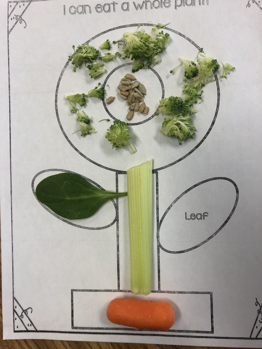 MrsEB88786096's tweet photo. We loved eating the whole plant yesterday! @forestlakeeagle #ropermountain https://t.co/DQBpIWJ0Ht