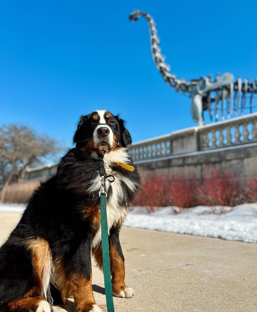 Field Museum tweet media