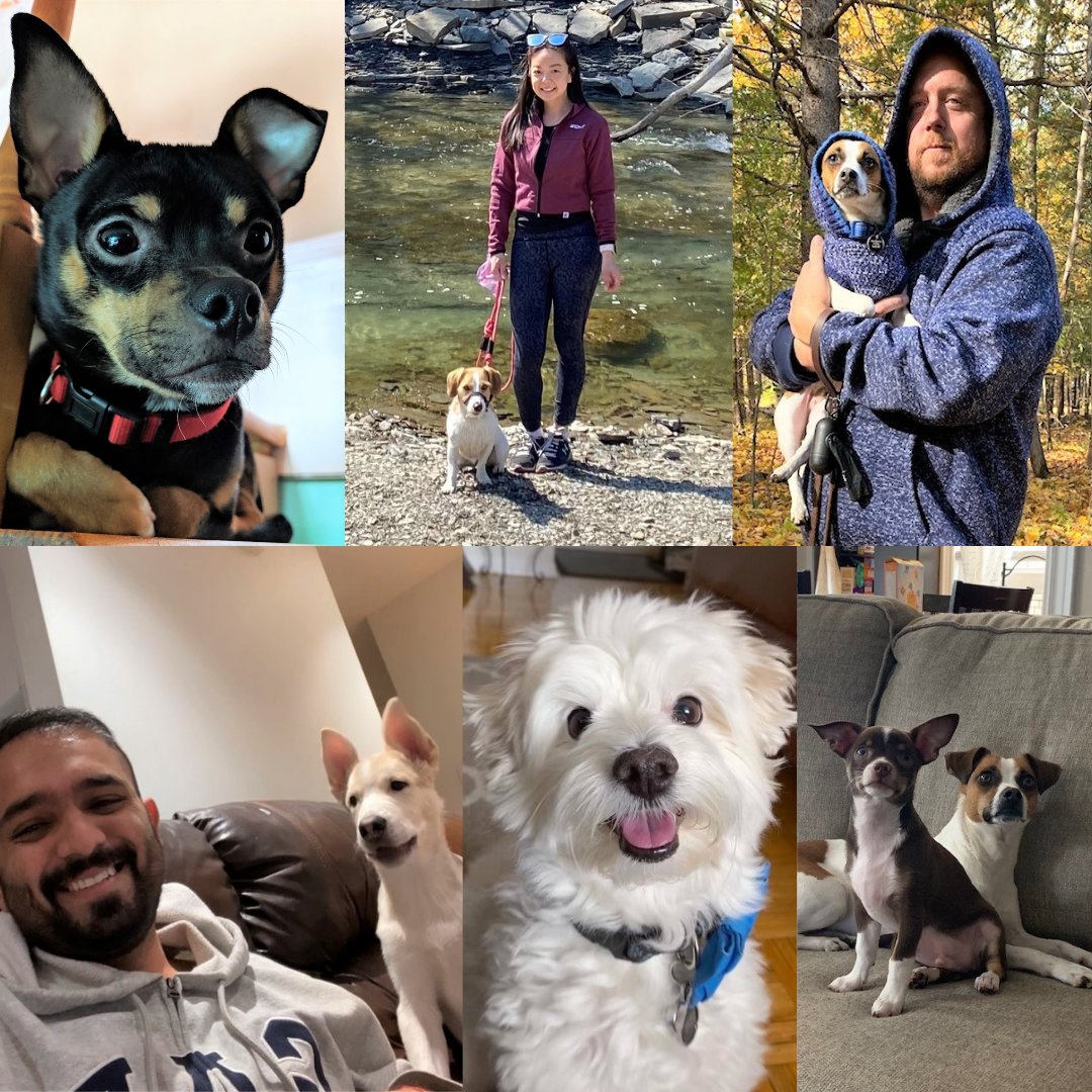 Flat Iron Building Group Inc. tweet media