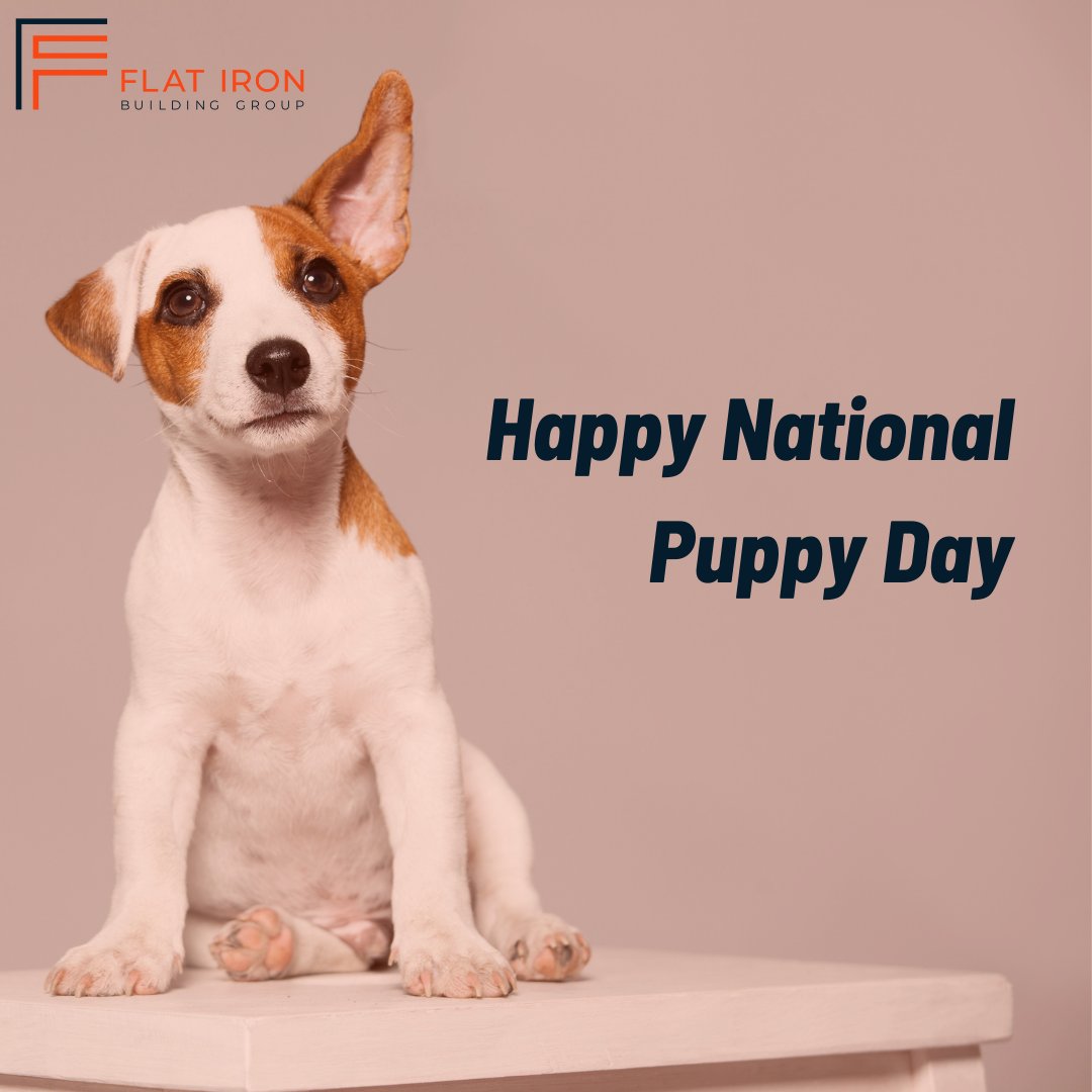 Flat Iron Building Group Inc. tweet media