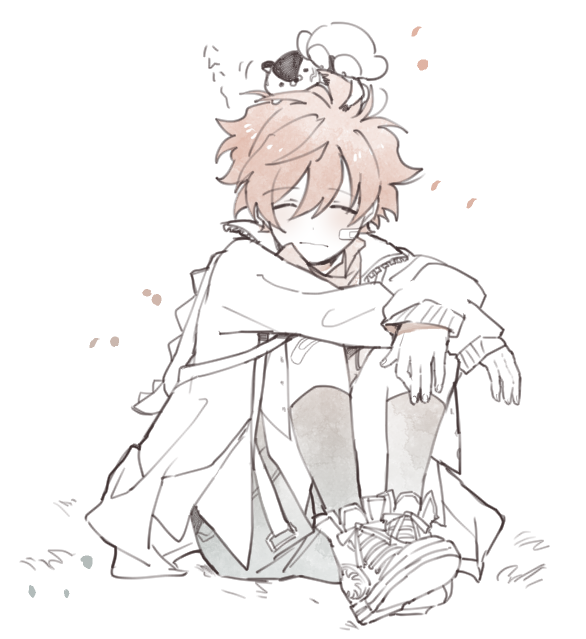 熊吉 (@1925kumakiti) on Twitter photo 