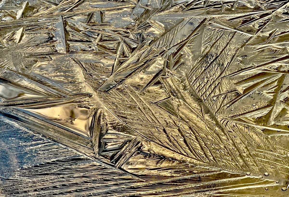 peter_jeschke's tweet photo. For our sanity, we need breaks from 24/7 outrage TV and the dreadful images of slaughtered innocents. Please take a moment. Look around you. Breathe. This is ice that formed last night on the oxbow pond, lit by the golden morning sun. Isn’t Nature beautiful? Deep breath. Relax. https://t.co/Ah8HVKt4JI