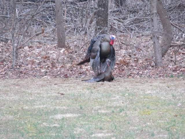 Doe & Arrow Hunting tweet media