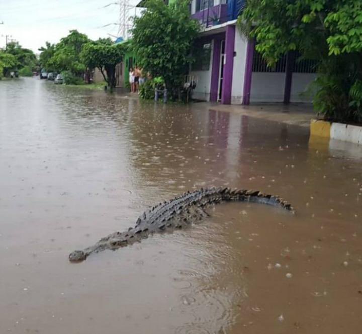 nderakoreami_'s tweet photo. Como país estamos alcanzado un nuevo nivel https://t.co/4wL7GnEj7c